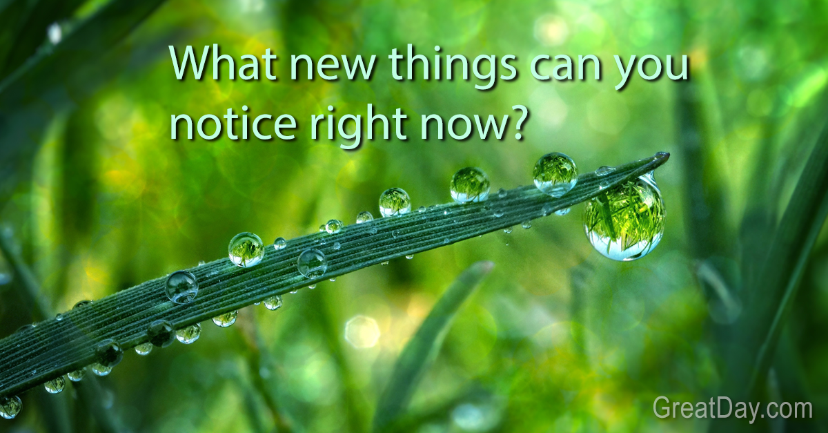 The Daily Motivator - Notice more